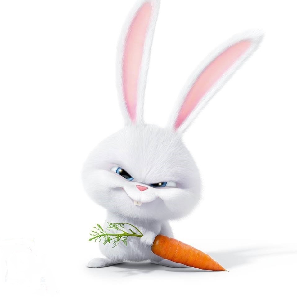 Зайка с морковкой картинки