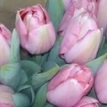 Аватарка пользователя