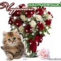 Аватарка пользователя