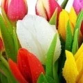 Аватарка пользователя