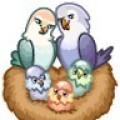 Аватарка пользователя