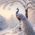 Аватарка пользователя