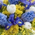 Аватарка пользователя