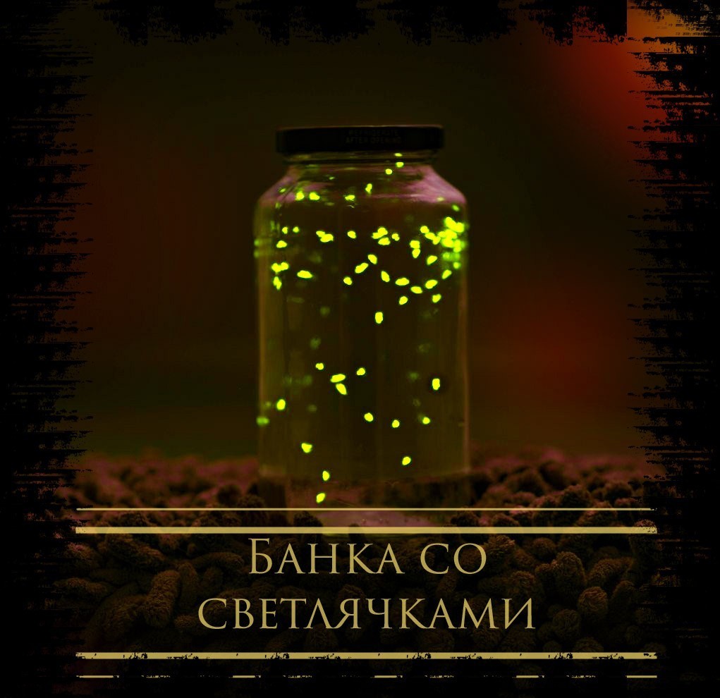 Банка со светлячками - Александр Папченко