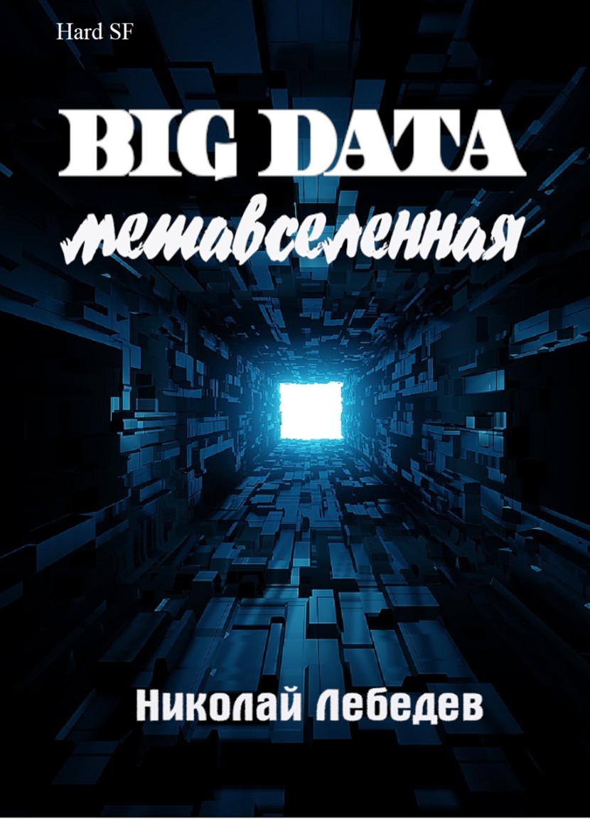 Big Data. Метавселенная - Николай Лебедев