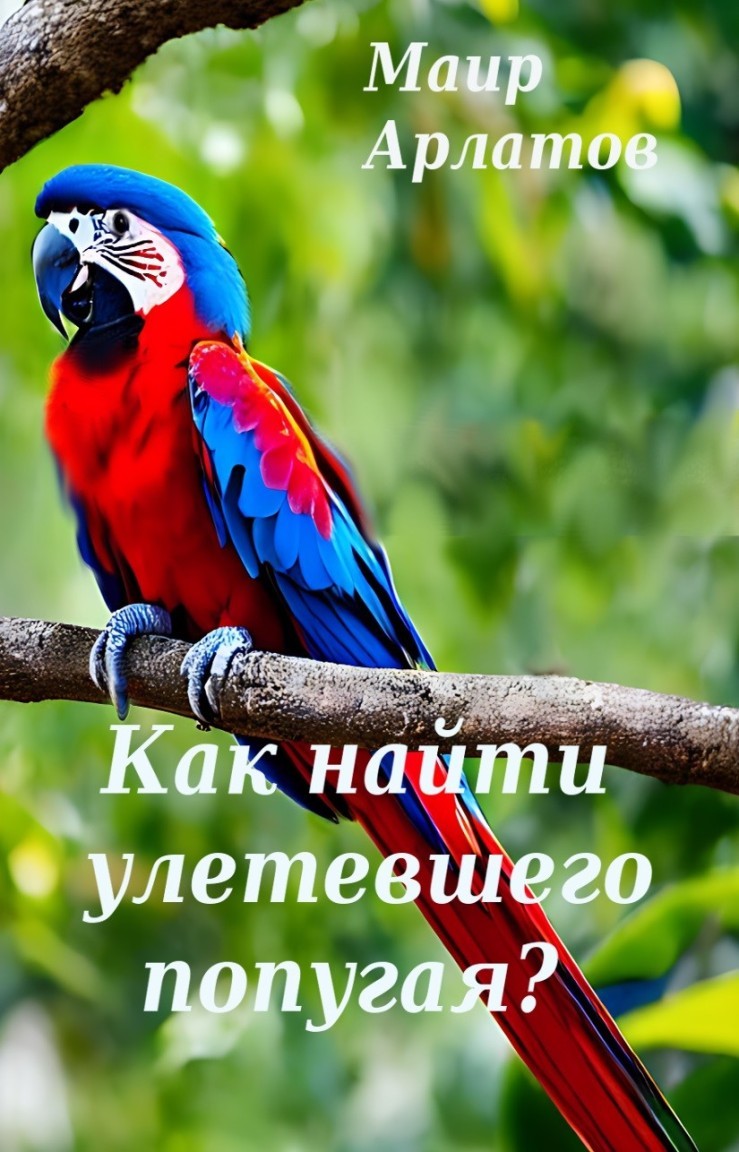 Как найти попугая? - Mair Arlatov