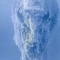 Аватарка пользователя