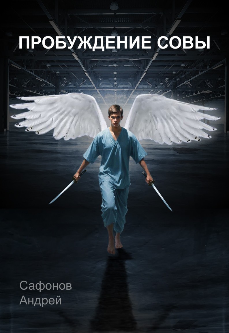 Пробуждение совы - Андрей С