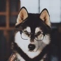Аватарка пользователя