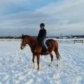 Аватарка пользователя