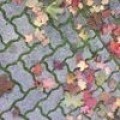 Аватарка пользователя
