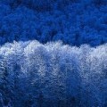 Аватарка пользователя