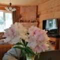 Аватарка пользователя