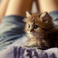 Аватарка пользователя