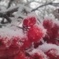 Аватарка пользователя