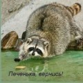 Аватарка пользователя