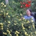 Аватарка пользователя
