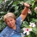 Аватарка пользователя
