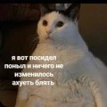 Аватарка пользователя