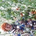 Аватарка пользователя