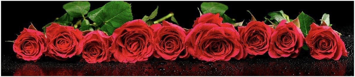 Все книги автора Камилла Рэй