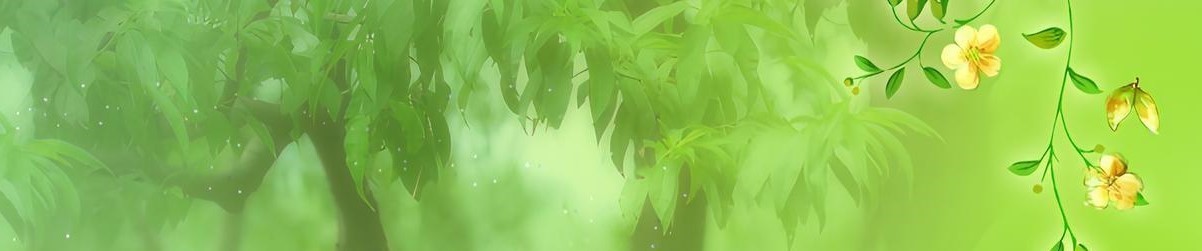 Все книги автора Ирина Ордина