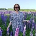 Аватарка пользователя