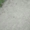 Аватарка пользователя
