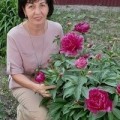 Аватарка пользователя