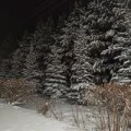 Аватарка пользователя