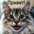 Аватарка пользователя