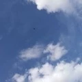 Аватарка пользователя