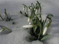 Аватарка пользователя