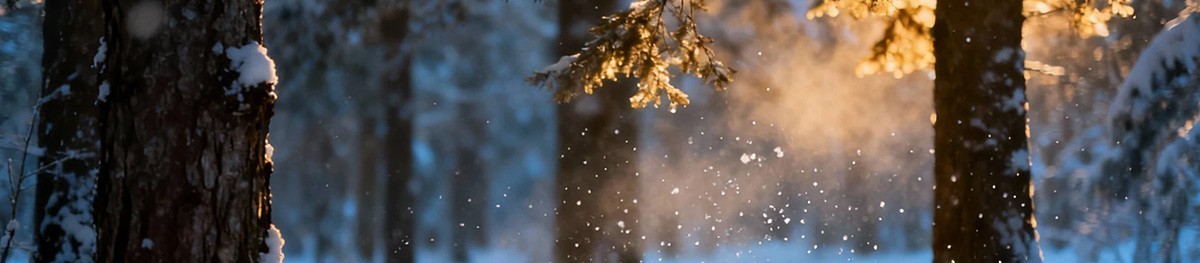 Все книги автора Ольга Золотарева