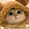 Аватарка пользователя