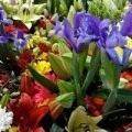 Аватарка пользователя