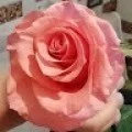 Аватарка пользователя