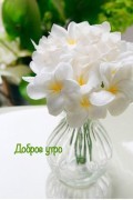 Аватарка пользователя