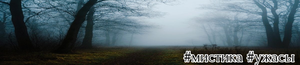 Все книги автора St. R. Luk