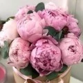 Аватарка пользователя