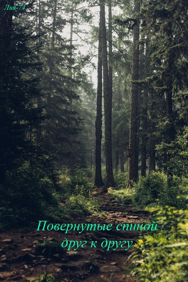 Повернутые спиной друг к другу - Лия-74