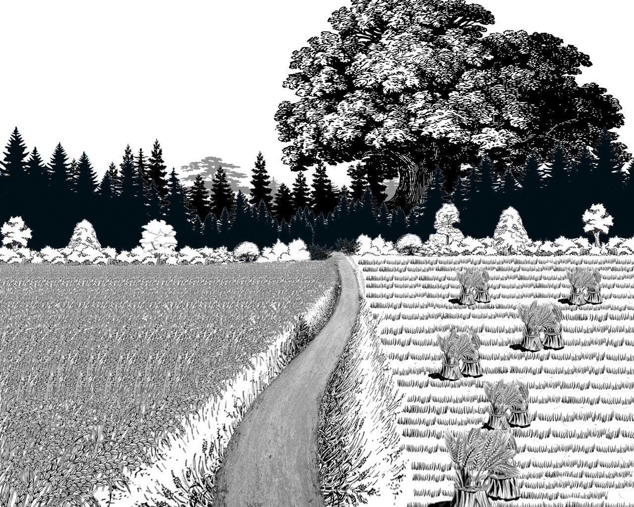 Война упавшего жёлудя. - Андрей Шестаков