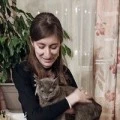 Аватарка пользователя