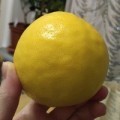 Аватарка пользователя