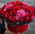 Аватарка пользователя