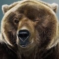 Аватарка пользователя