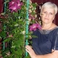 Аватарка пользователя