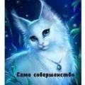 Аватарка пользователя