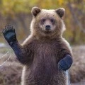 Аватарка пользователя