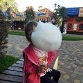 Аватарка пользователя